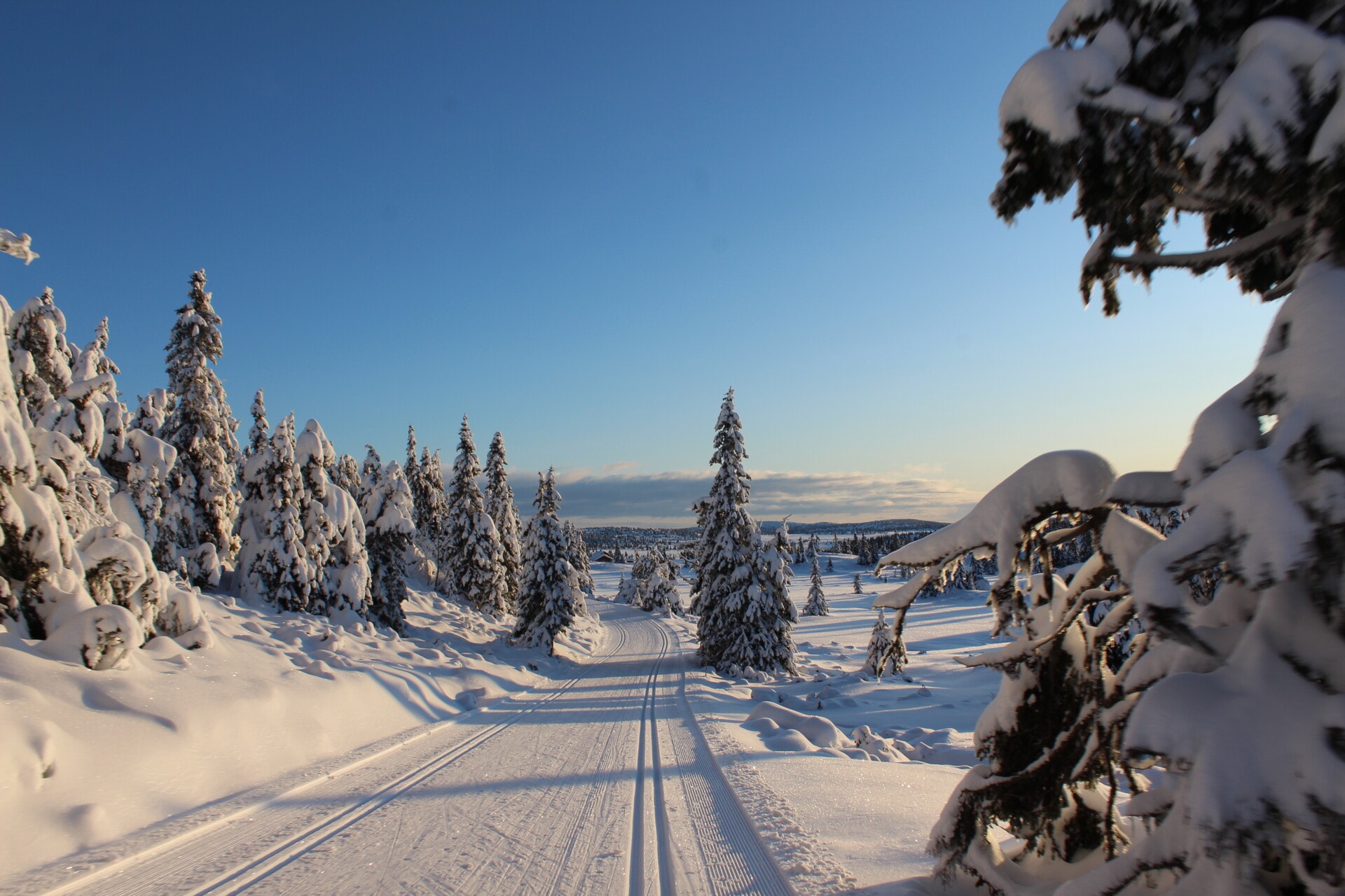 Invitasjon til snøsamling på Nordseter